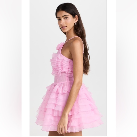 NWT Staud pink Florian ruffled organza mini dress - Picture 4 of 10